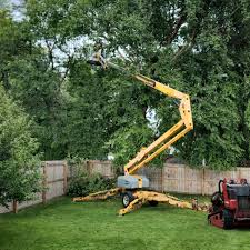 Best Tree Mulching  in Mount Gay Shamrock, WV